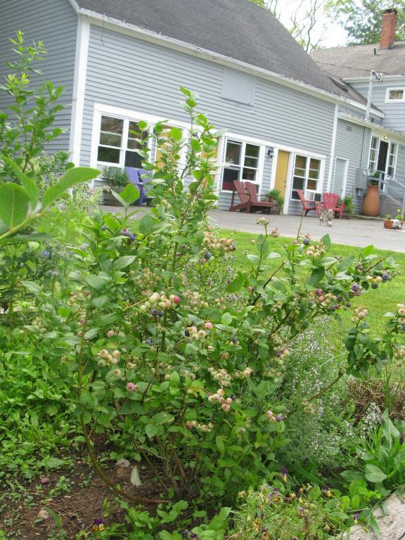 Dragonfly Inn Annapolis Royal Extérieur photo